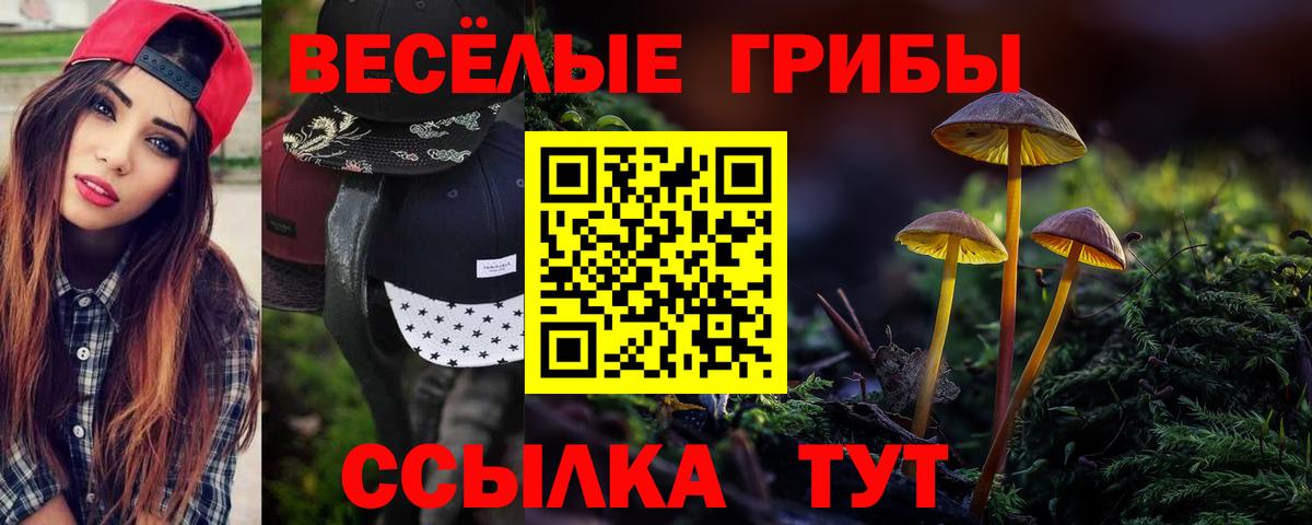 Волжский  где найти наркотики  Вход с VPN  Галлюциногенные грибы GOLDEN TEACHER 