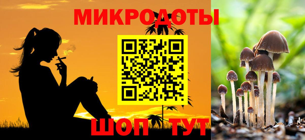 Псилоцибиновые грибы прущие грибы Волжский